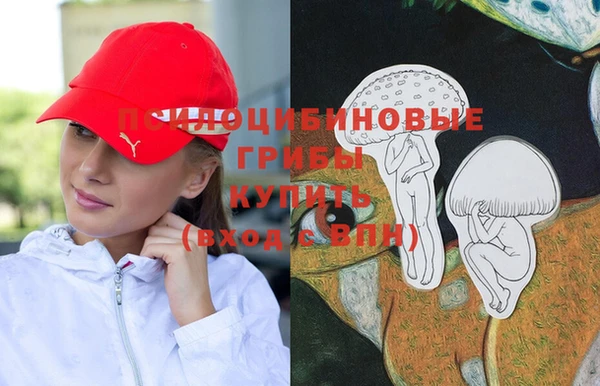 прущая мука Переславль-Залесский