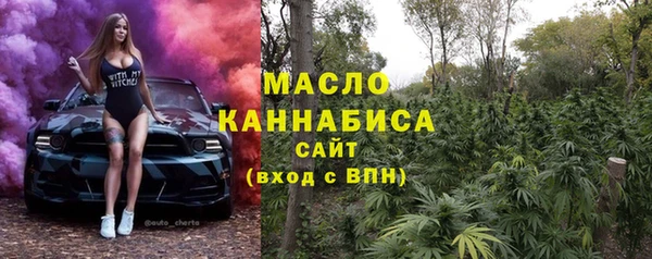 молекула духа Богородск