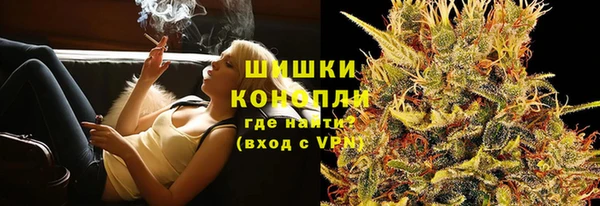 ECSTASY Богданович