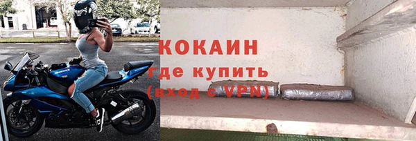 ECSTASY Богданович