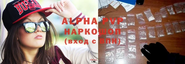 ECSTASY Богданович