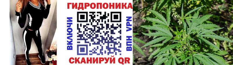 закладка  Первомайск  кракен онион  Канабис MAZAR 
